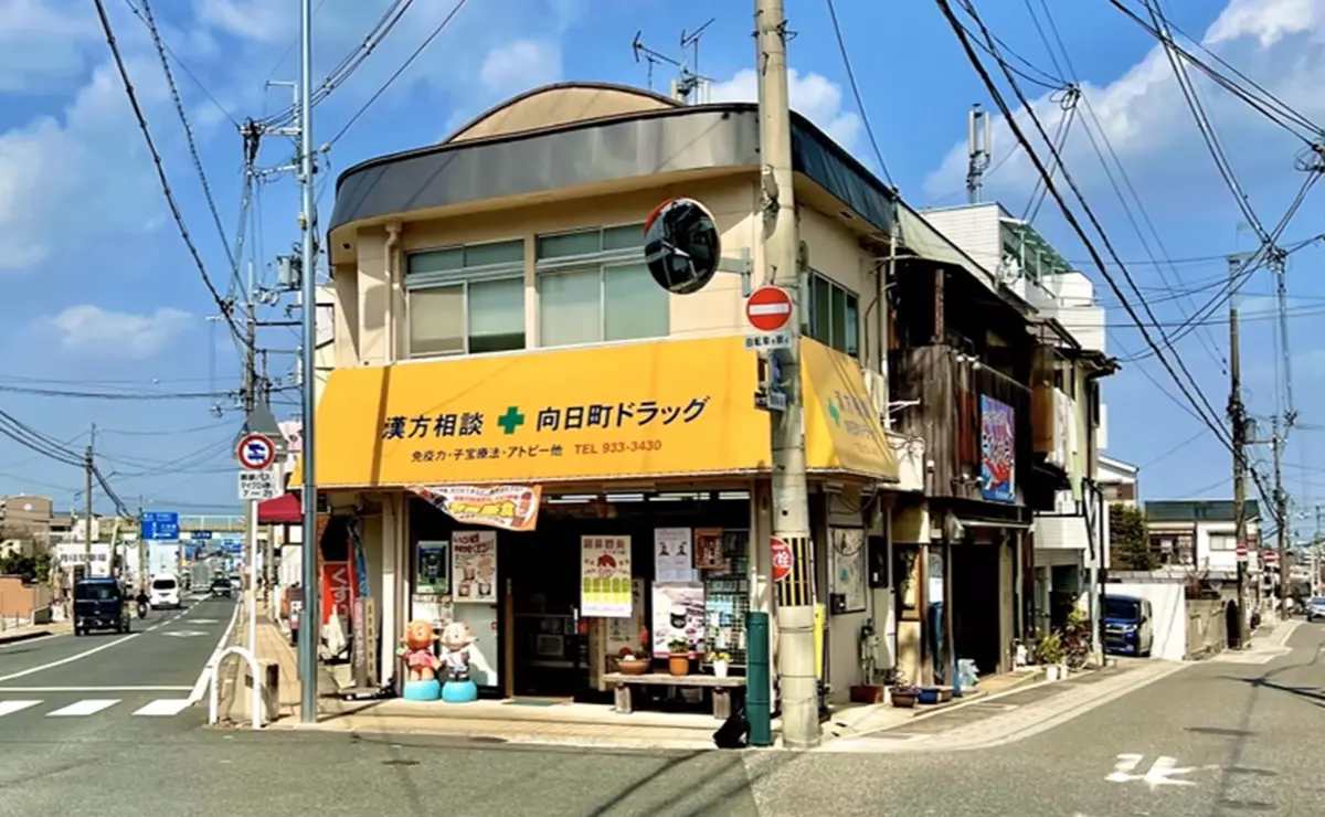 向日町ドラッグ